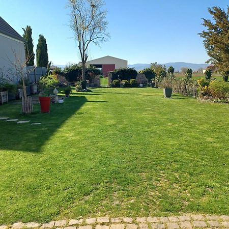 Cote Cour Bischwihr Colmar Bed & Breakfast エクステリア 写真
