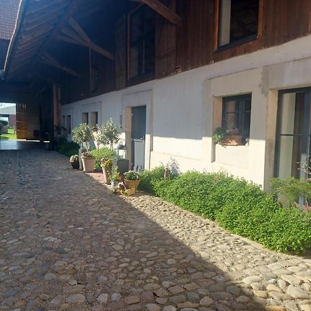 Cote Cour Bischwihr Colmar Bed & Breakfast エクステリア 写真