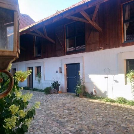Cote Cour Bischwihr Colmar Bed & Breakfast エクステリア 写真