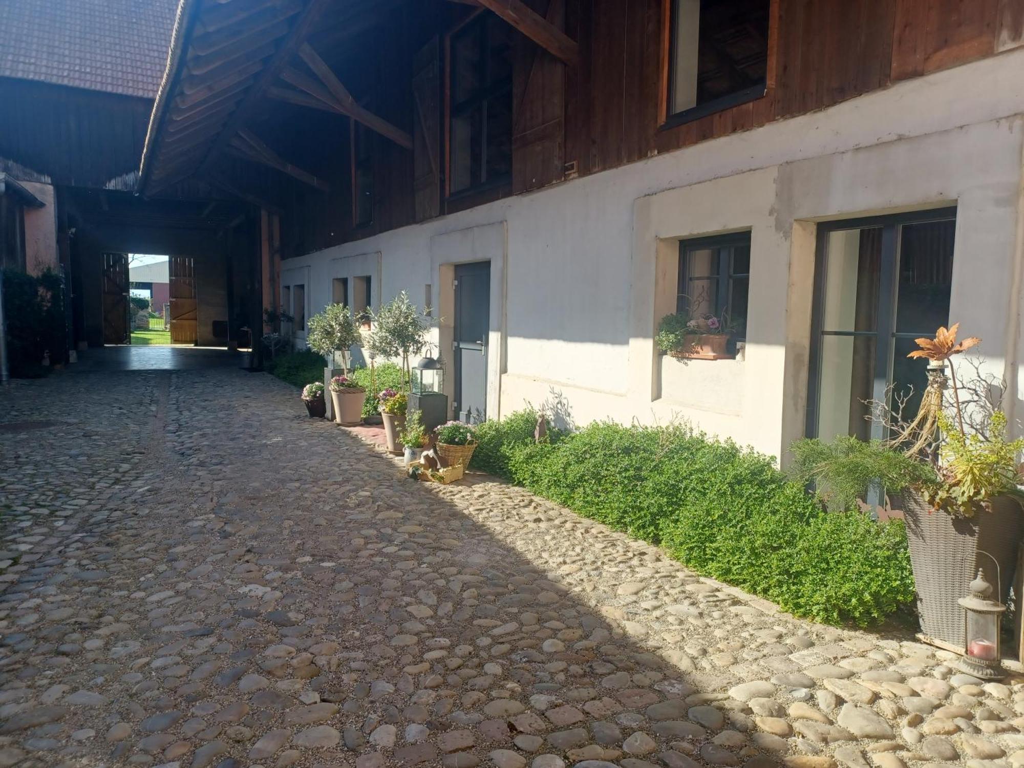 Cote Cour Bischwihr Colmar Bed & Breakfast エクステリア 写真