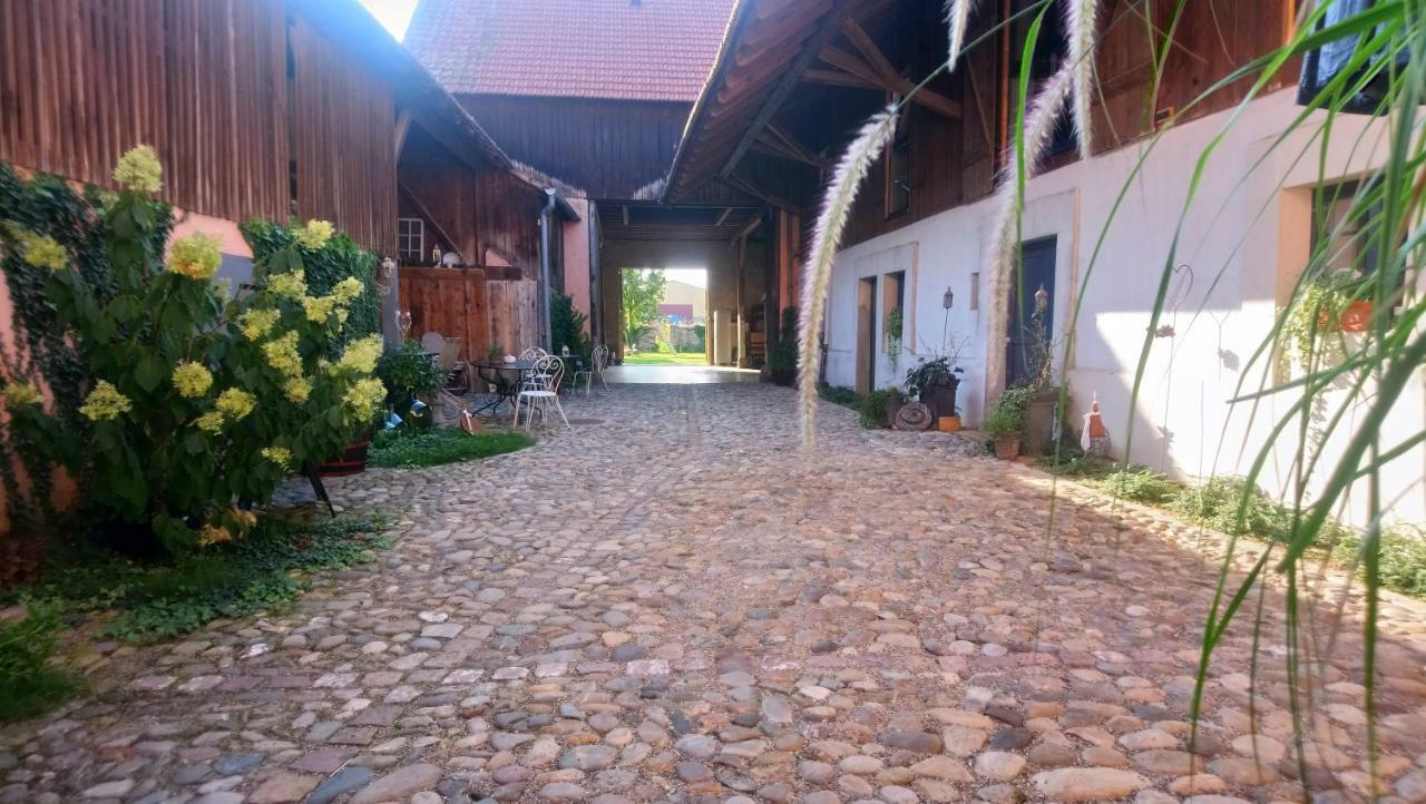 Cote Cour Bischwihr Colmar Bed & Breakfast エクステリア 写真